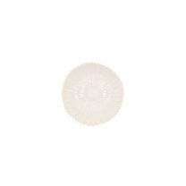 Daisy White S