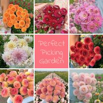 Perfect Picking Garden