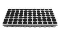 Seed tray 77 cells