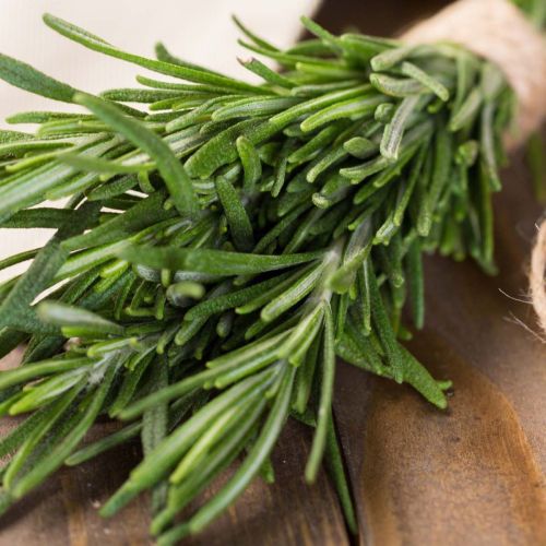 Rosemary 