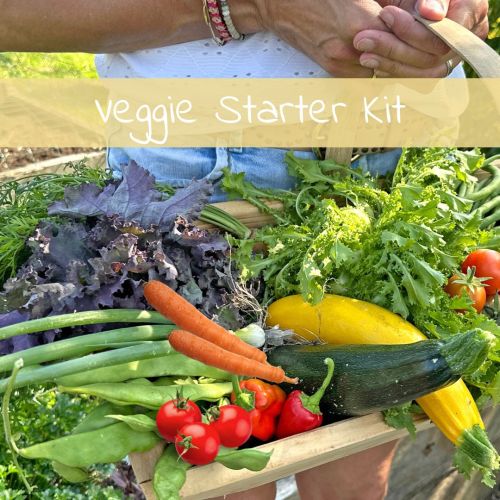 Veggie Starter Kit (10 varieties)