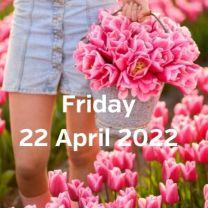 Visit tulip fields 22 april 2022