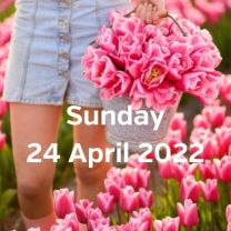 Visit tulip fields 24 april 2022