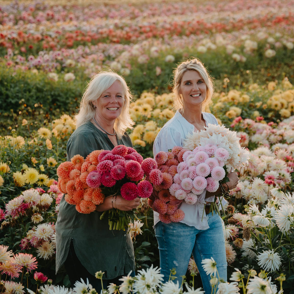 About us FAM Flower Farm