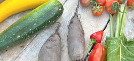 Vegetable seeds